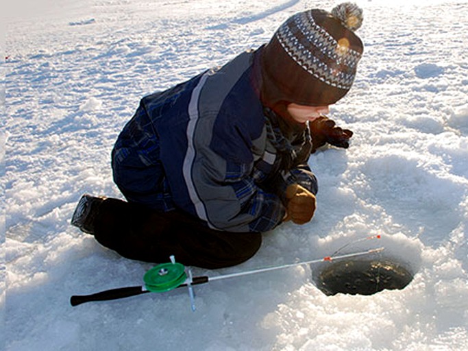 Cabins (United States of America, Cadillac, Michigan)