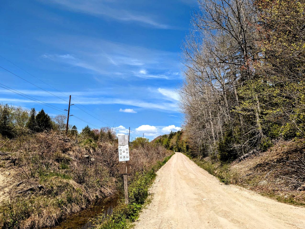 Pet-Friendly Lakeside Cabin with Fire Pit & Screened Porch near Flanders Pond in Sullivan, Maine