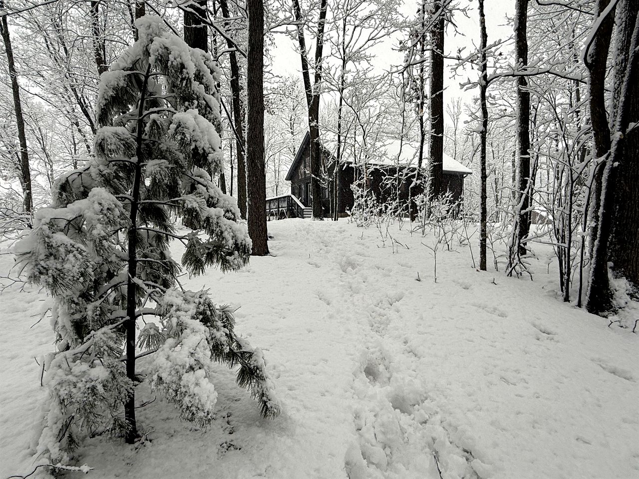 Pet-Friendly Lakeside Cabin Ideal for a Family Getaway in Wisconsin