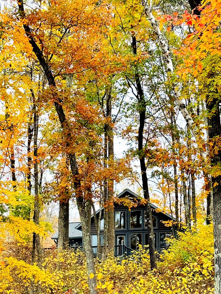 Pet-Friendly Lakeside Cabin Ideal for a Family Getaway in Wisconsin