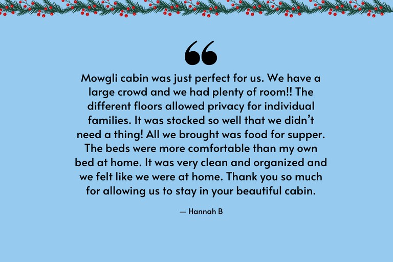 Log Cabins (United States of America, Sevierville, Tennessee)