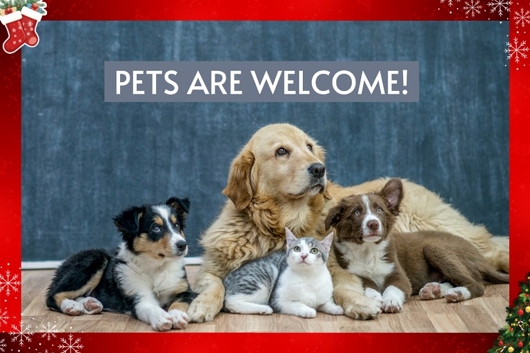 Log Cabins (United States of America, Sevierville, Tennessee)