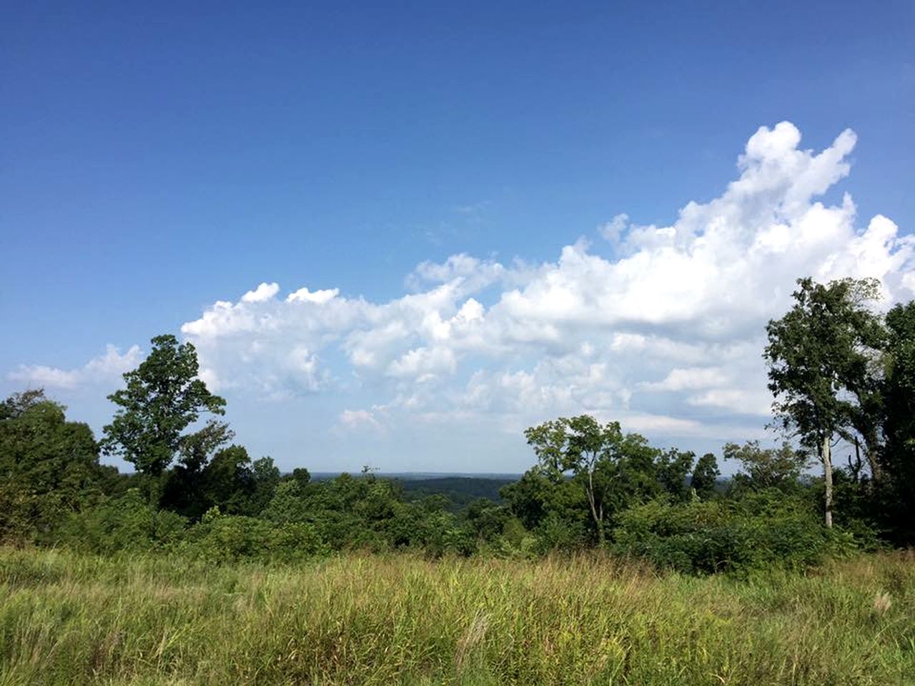 Pet-Friendly Log Cabin with an Outdoor Pool near Crofton, Kentucky