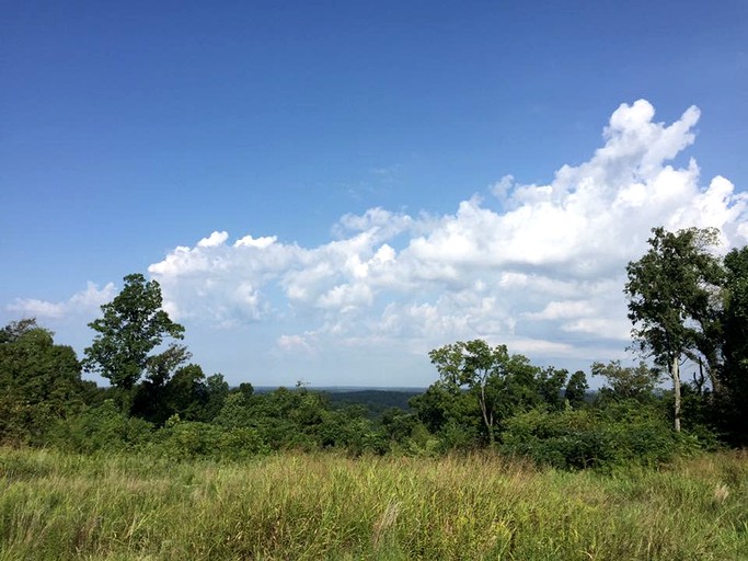 Log Cabins (Crofton, Kentucky, United States)