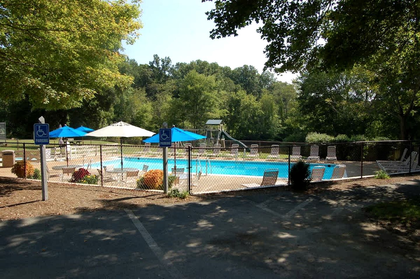 Pet-Friendly Mountain Retreat with Fireplace & Walkable Village Access Near Wintergreen Resort, Virginia