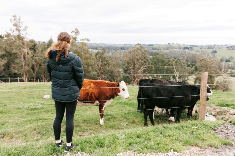 Tiny Houses (Australia, Neerim South, Victoria)