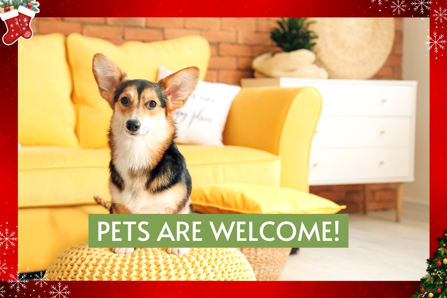 Pet Friendly, Rustic Cottage with Hot Tub and Charming Backyard, Perfect for a Weekend Escape from Austin, Texas