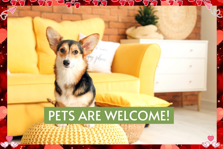 Cottages (United States of America, Fredericksburg, Texas)