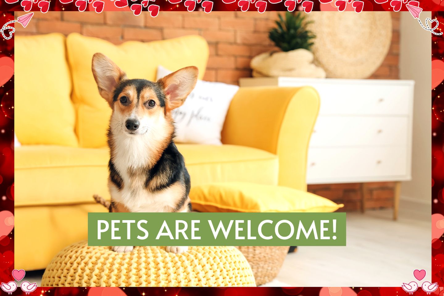 Pet Friendly, Rustic Cottage with Hot Tub and Charming Backyard, Perfect for a Weekend Escape from Austin, Texas