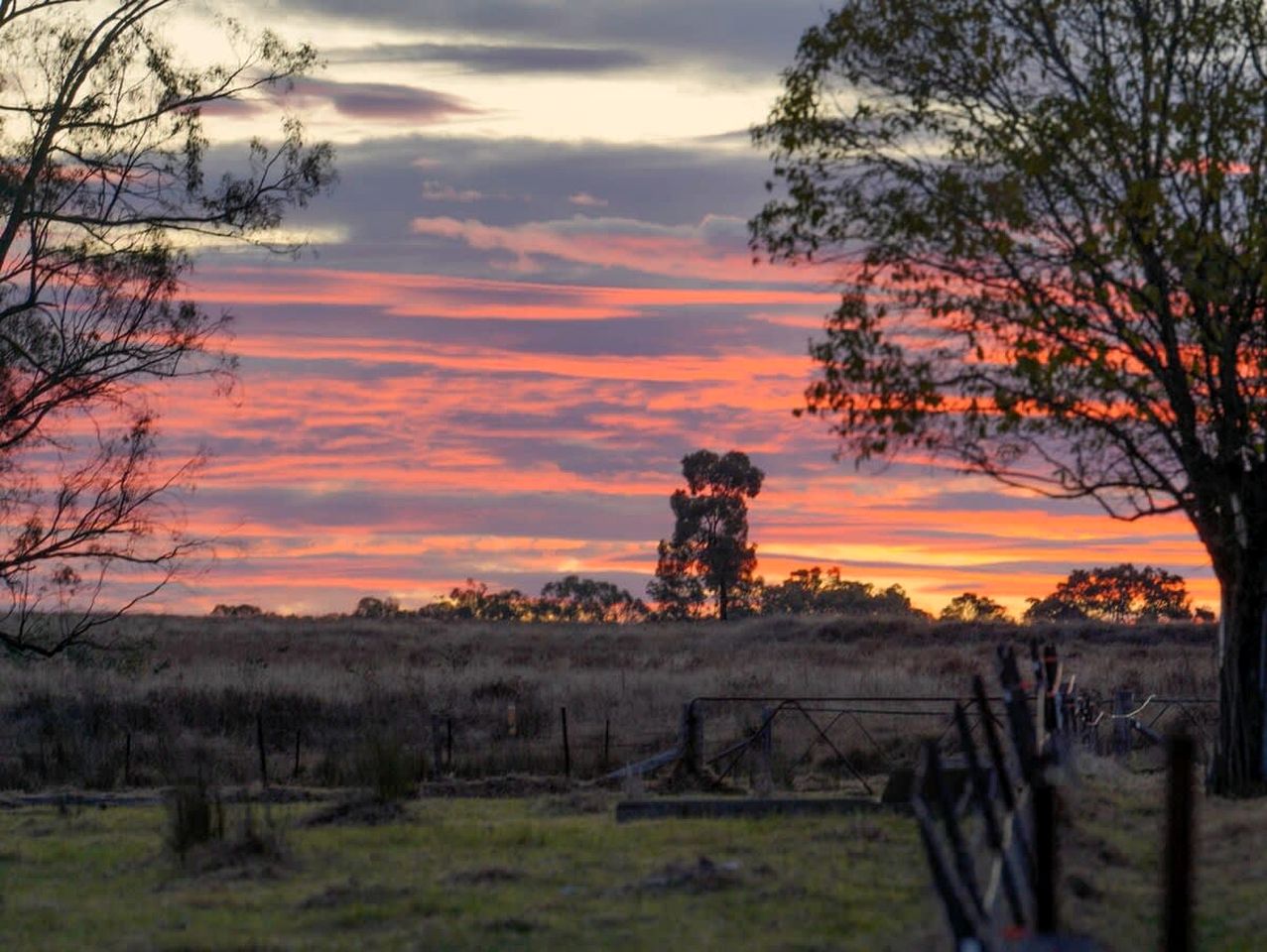 Tranquil, Pet-Friendly Tiny Home Perfect for Couples Glamping in Ulamambri, Australia