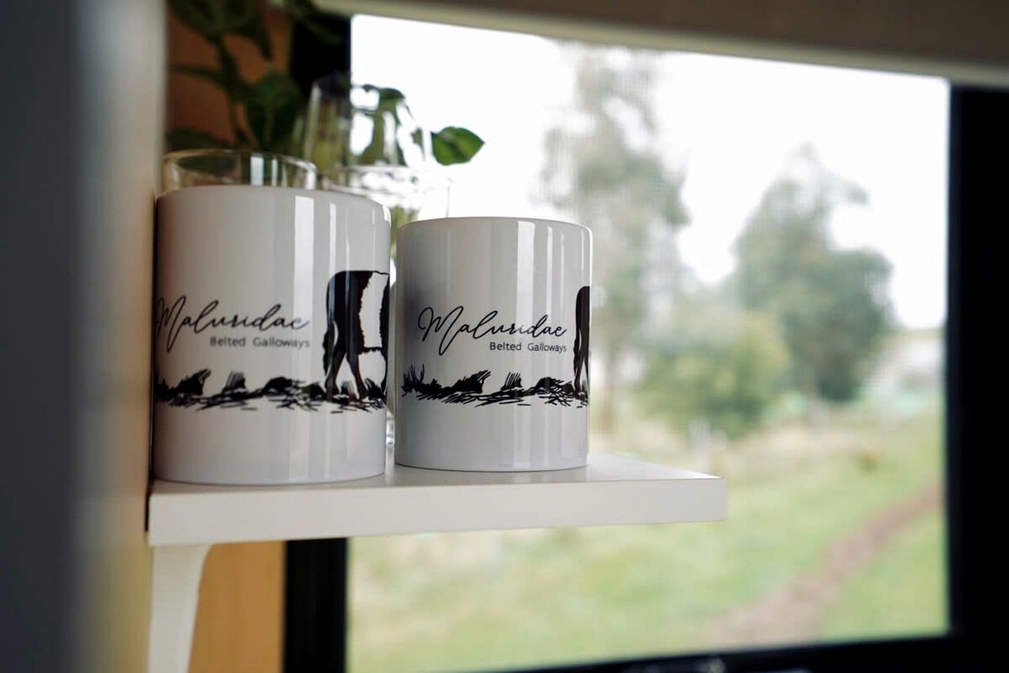 Pet Friendly Tiny Home for a Glamping Getaway outside Melbourne