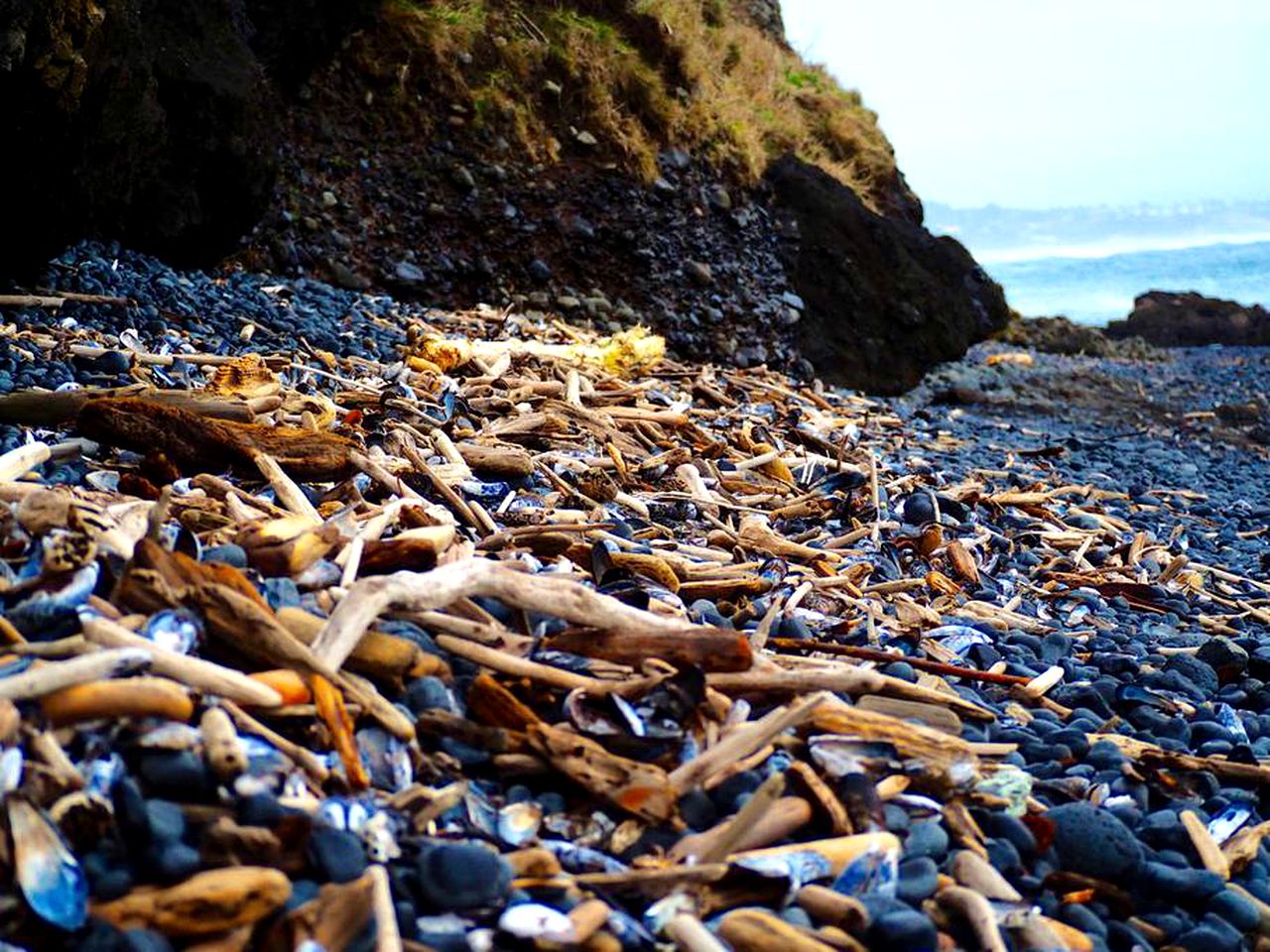 Tiny House in Waldport, Oregon DogFriendly Vacations in Oregon