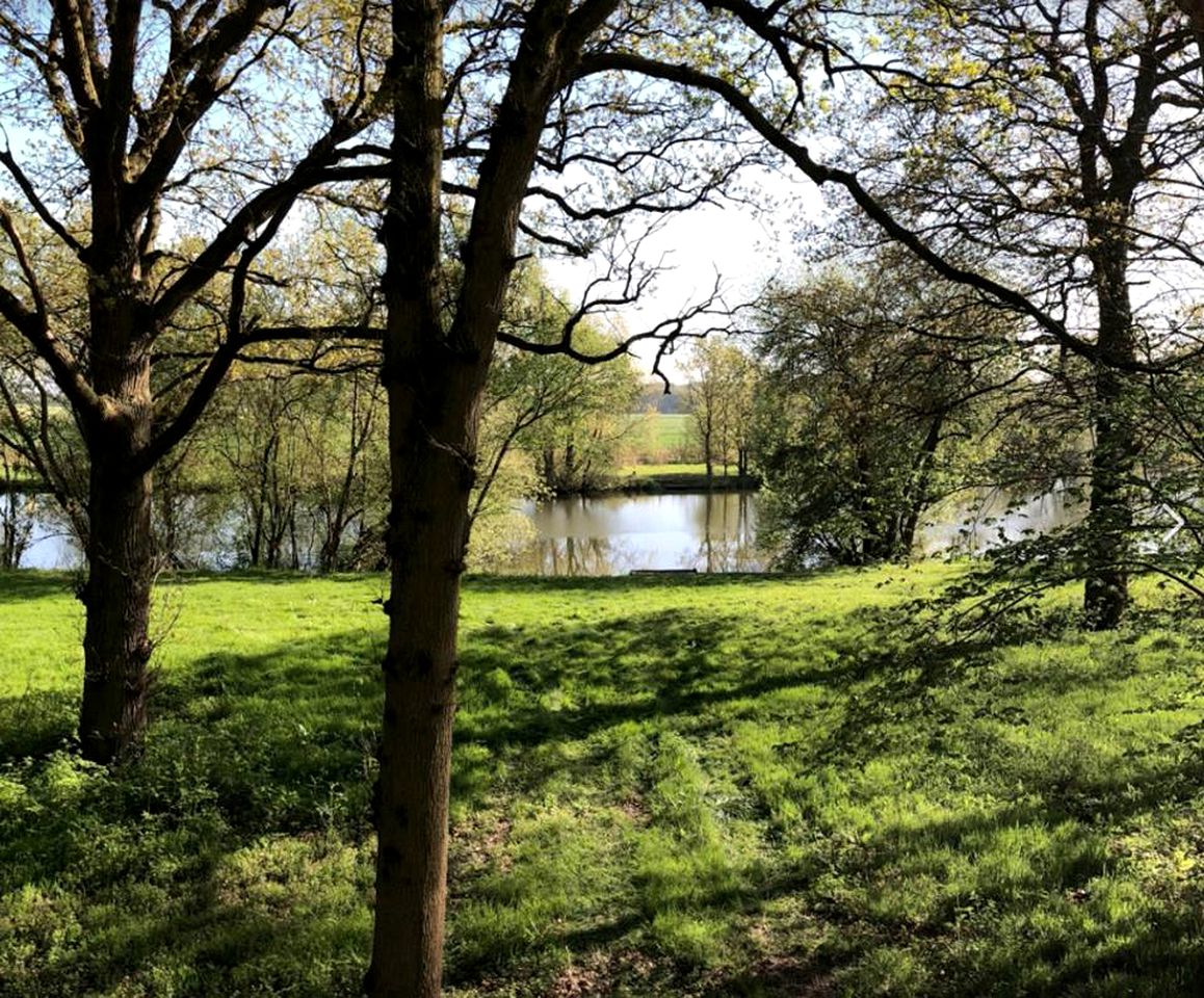 PetFriendly Rental in Essex, England