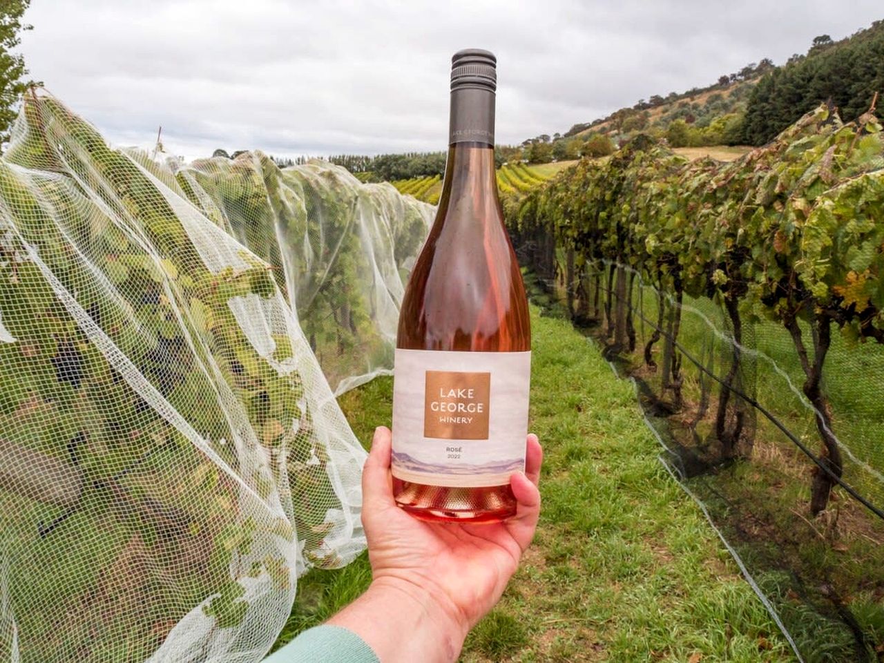 Pet-Friendly Tiny House with Vineyards Views Near Lake George in New South Wales, Australia