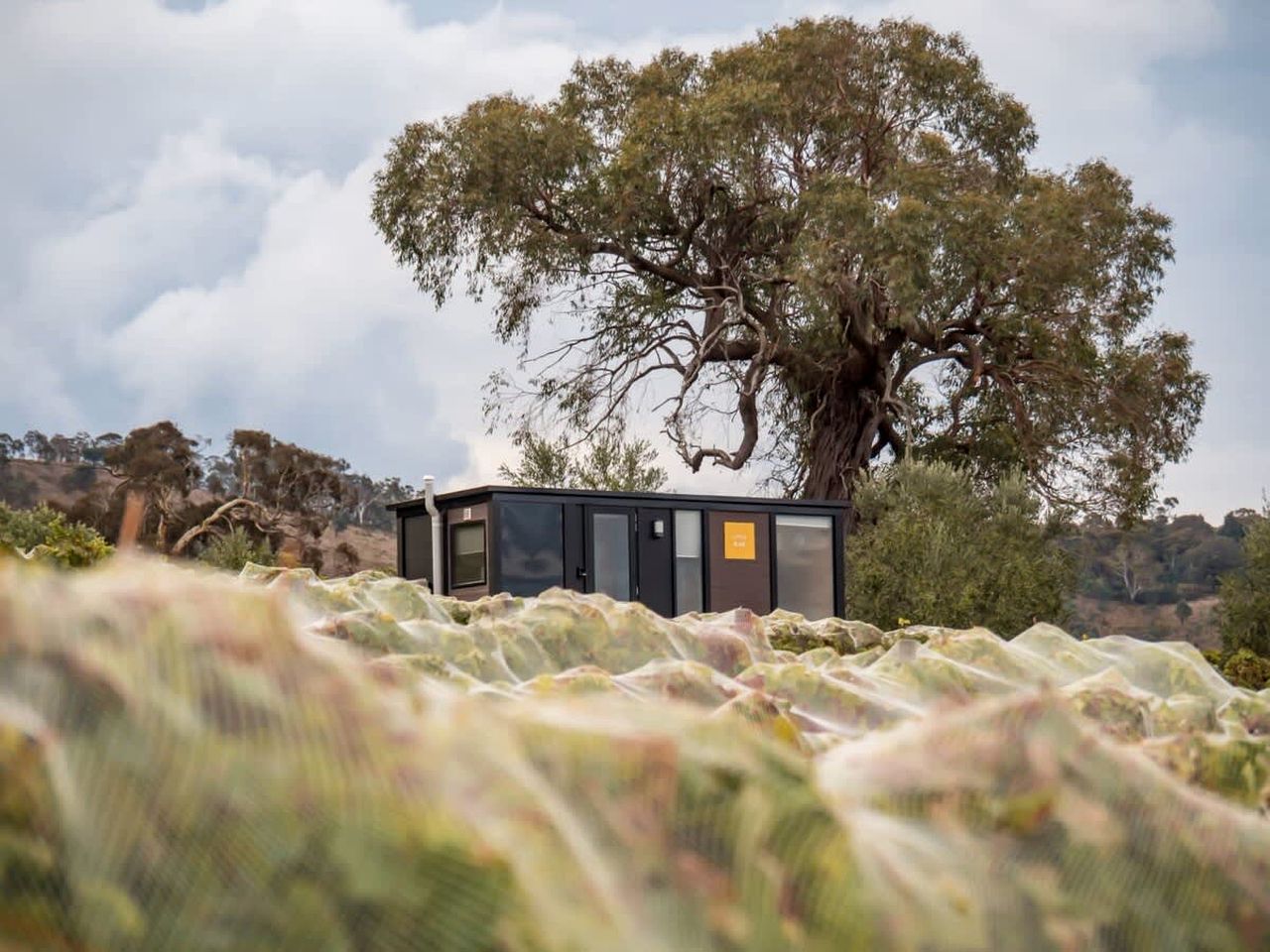 Pet-Friendly Tiny House with Vineyards Views Near Lake George in New South Wales, Australia