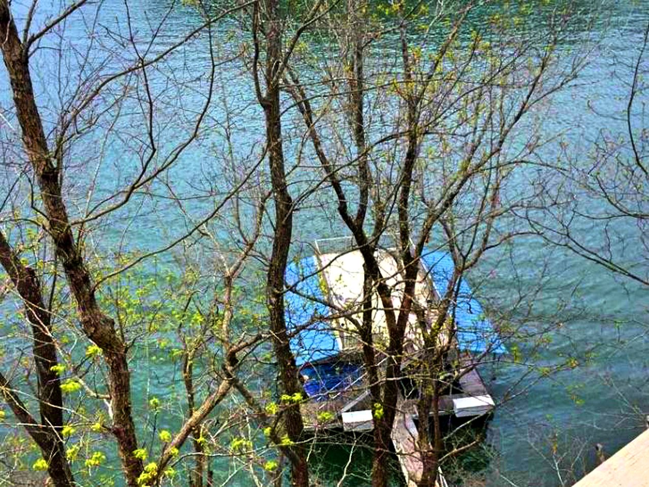 Pet-Friendly Vacation Rental on Lake Lanier in Dawsonville, Georgia