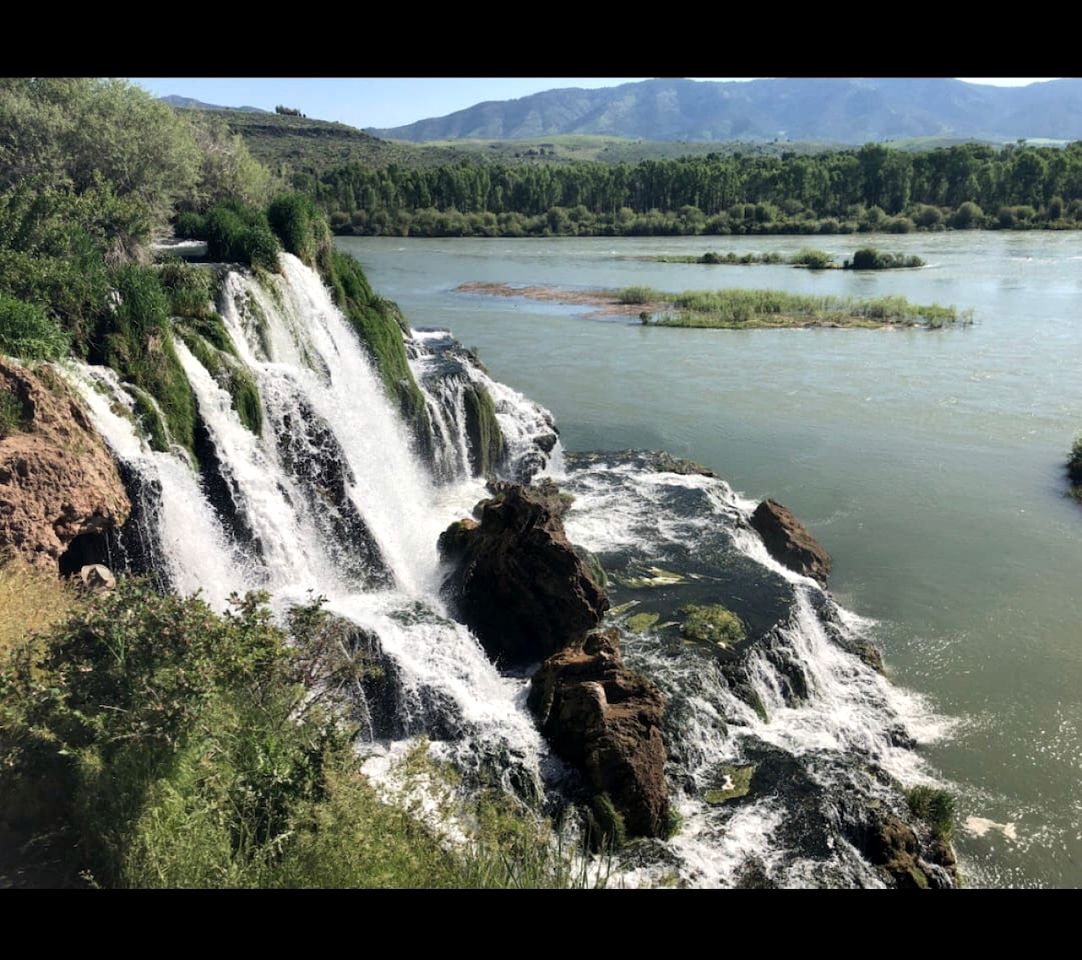 Pet-Friendly Safari Tent Glamping in Swan Valley, Idaho near Jackson Hole