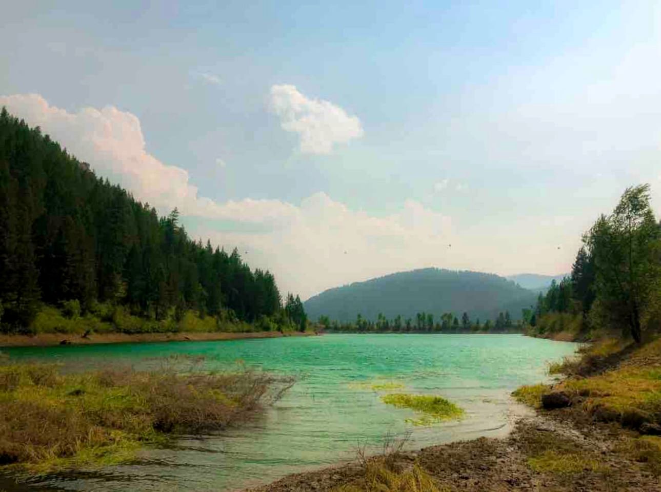 Pet-Friendly Safari Tent Glamping in Swan Valley, Idaho near Jackson Hole