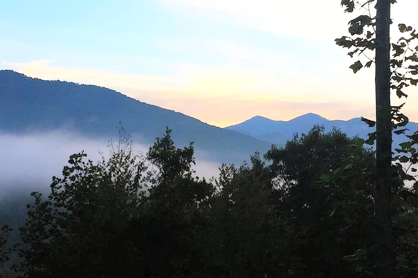 Charming Yurt Getaway on the Edge of the Nantahala Forest, North Carolina