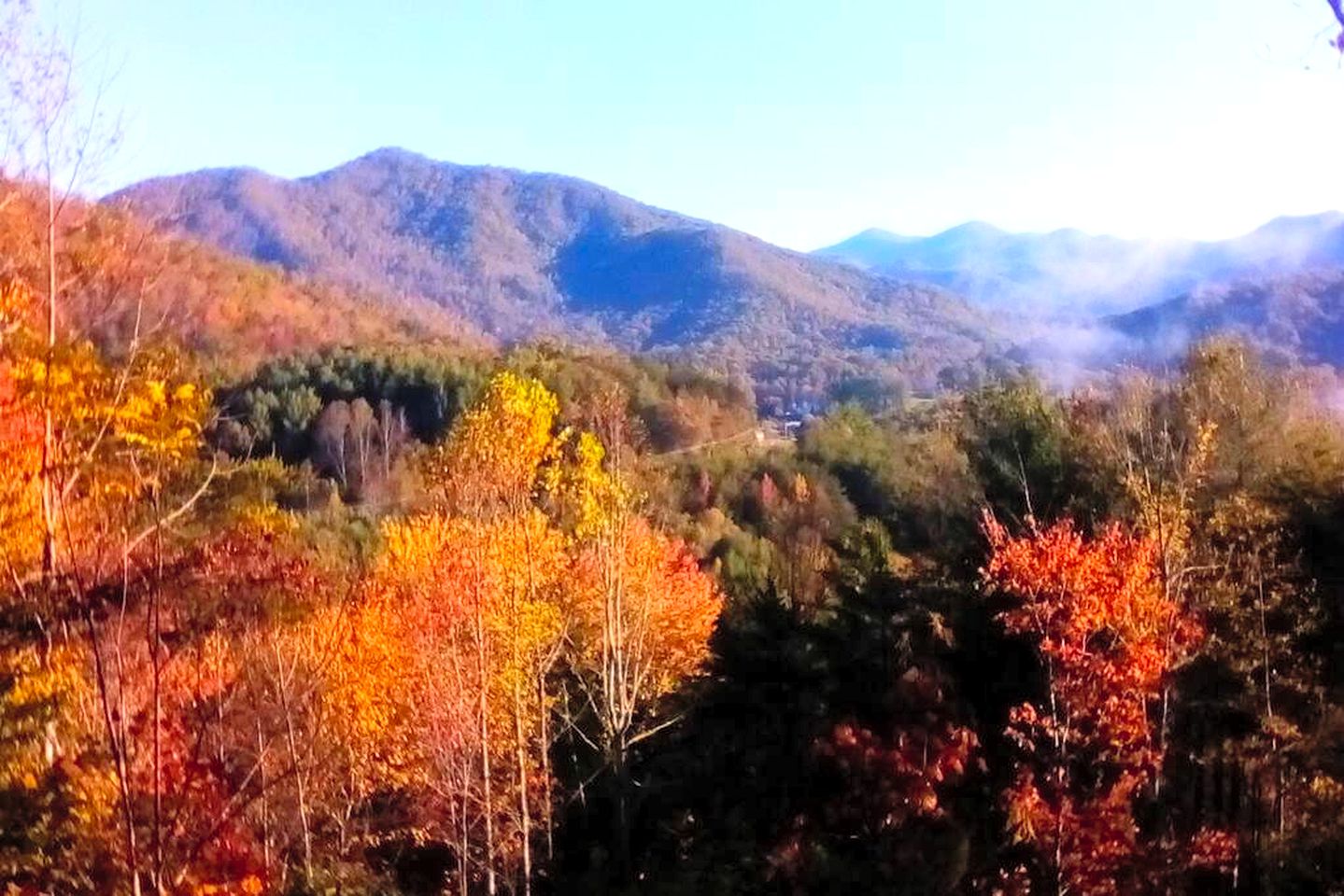 Charming Yurt Getaway on the Edge of the Nantahala Forest, North Carolina