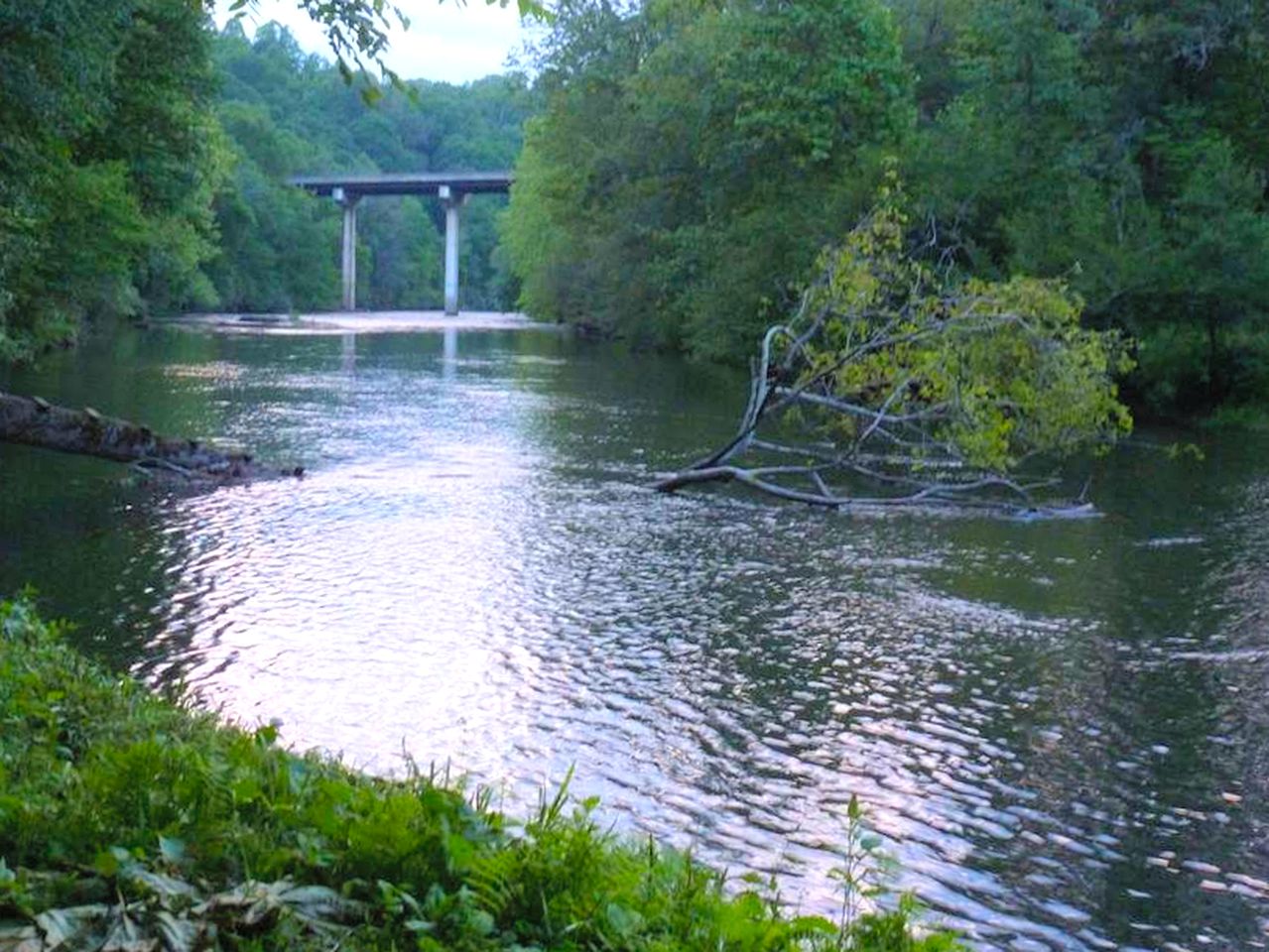 Charming Yurt Getaway on the Edge of the Nantahala Forest, North Carolina