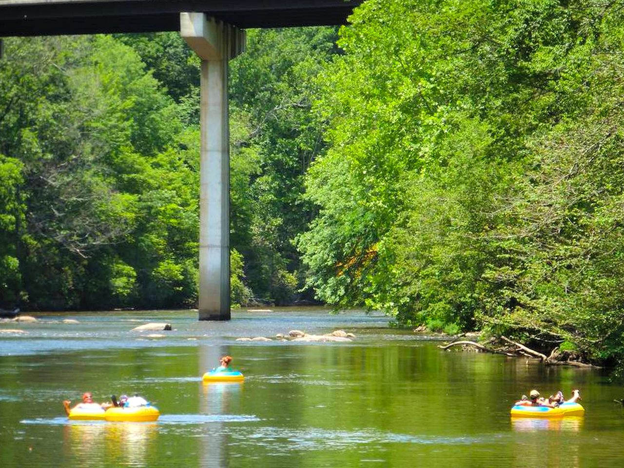 Charming Yurt Getaway on the Edge of the Nantahala Forest, North Carolina