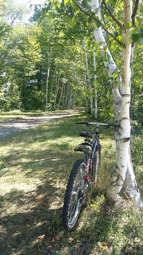 Cabins (United States of America, Blue Mountain Lake, New York)