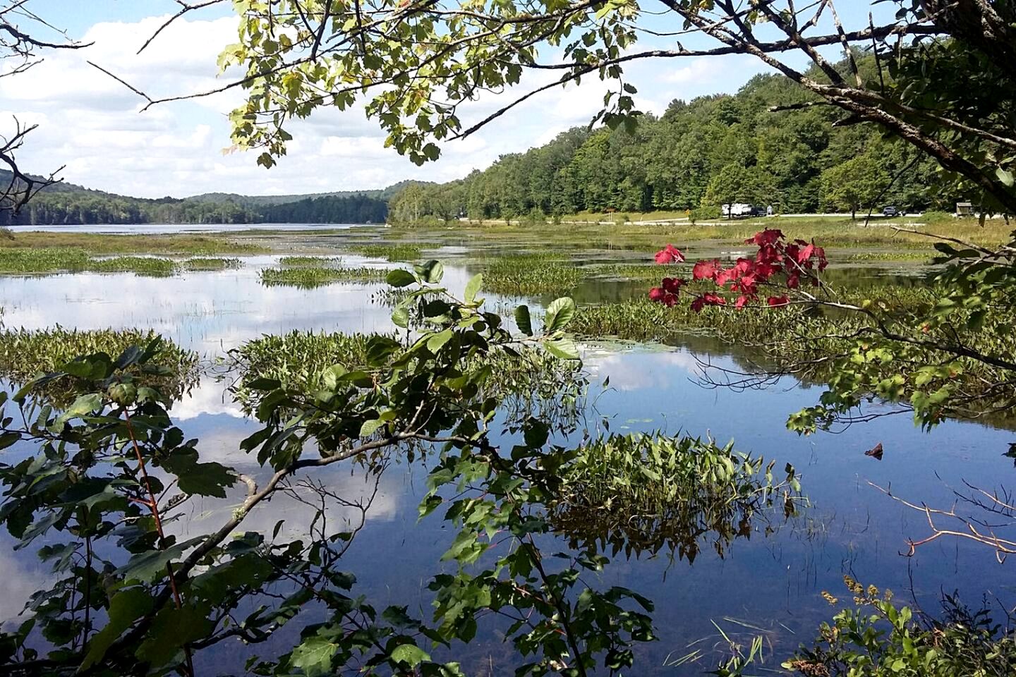 Pet-friendly Vacation Rental near Outdoor Attractions and Blue Mountain Lake, New York