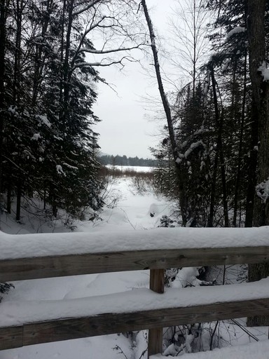Cabins (United States of America, Blue Mountain Lake, New York)