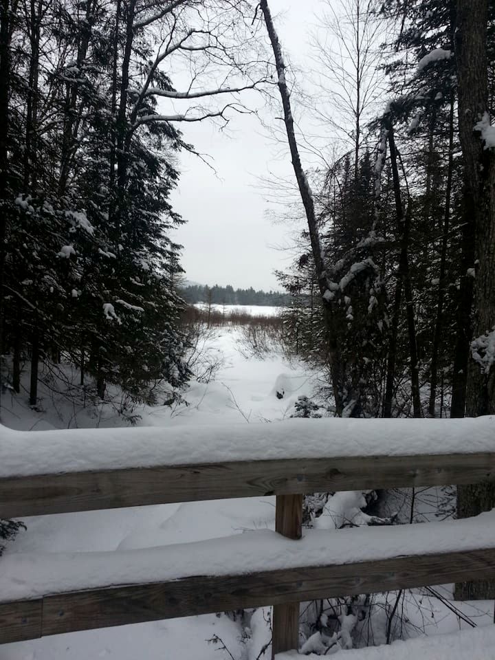 Pet-friendly Vacation Rental near Outdoor Attractions and Blue Mountain Lake, New York