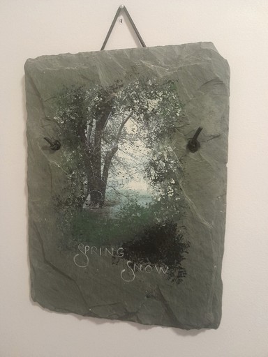 Cabins (United States of America, Blue Mountain Lake, New York)