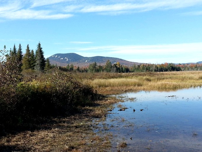 Cabins (United States of America, Blue Mountain Lake, New York)