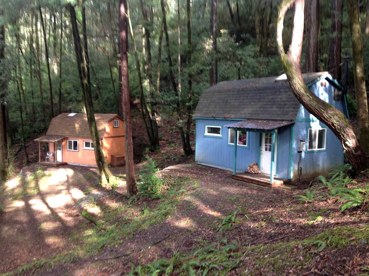 Group Getaway in Orick, California