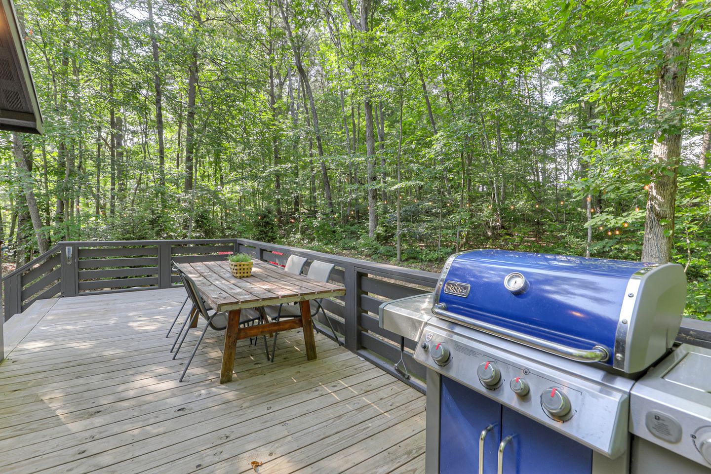 Gorgeous Cottage with Fire Pit and Barbecue in Tracy City, Tennessee