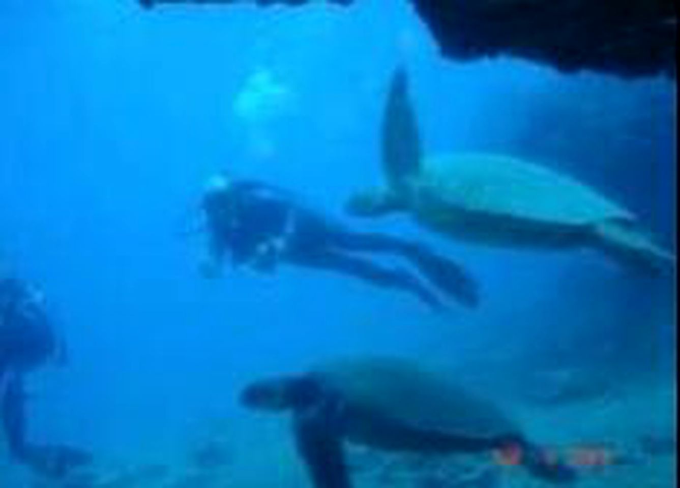 Ideal Vacation Rental for Four Guests near Sherwood Beach in Oahu, Hawaii