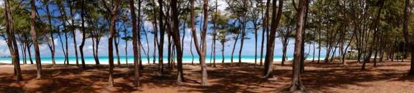 Ideal Vacation Rental for Four Guests near Sherwood Beach in Oahu, Hawaii