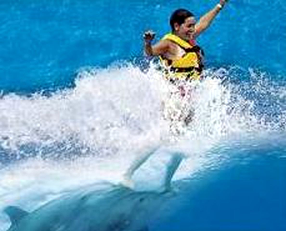 Ideal Vacation Rental for Four Guests near Sherwood Beach in Oahu, Hawaii