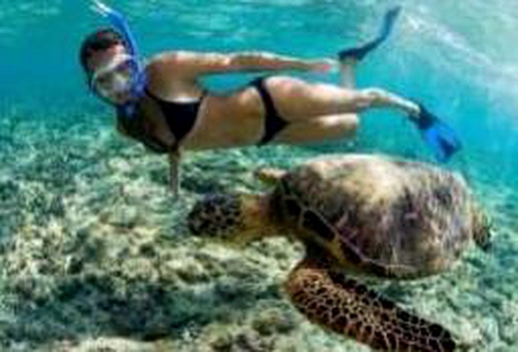 Vacation Rentals (Waimanalo, Hawaii, United States)