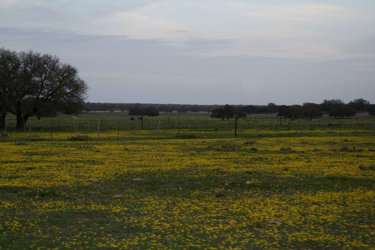 Secluded Ranch-Style Cabin Rental South of San Angelo, Texas