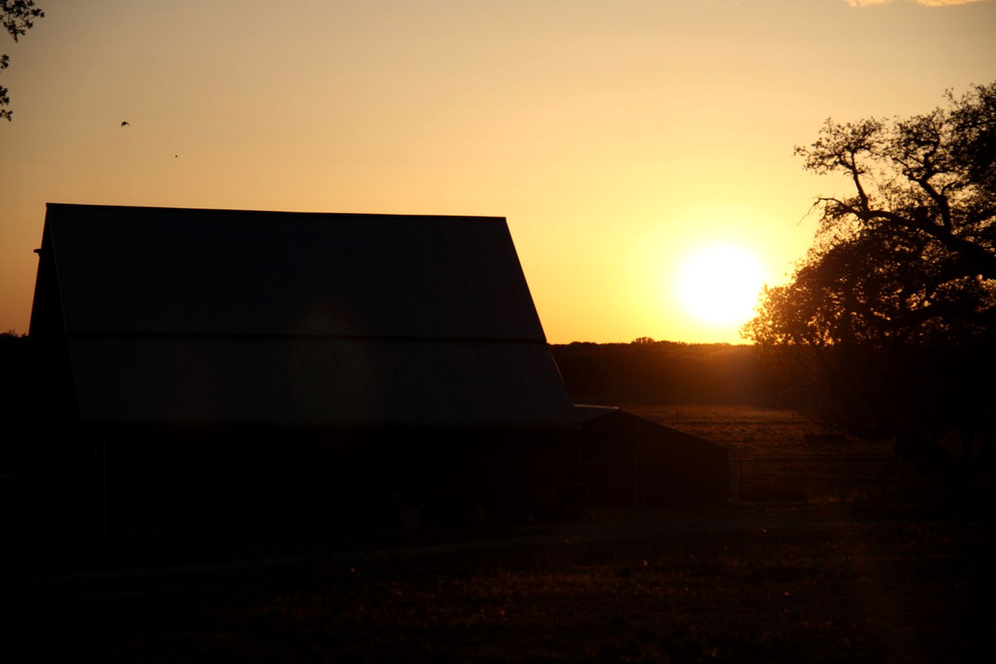 Authentic Ranch Cabin Rental with Meadow Views in Christoval, Texas