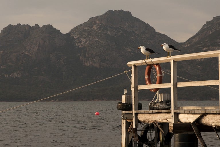 Private Islands (Coles Bay, Tasmania, Australia)