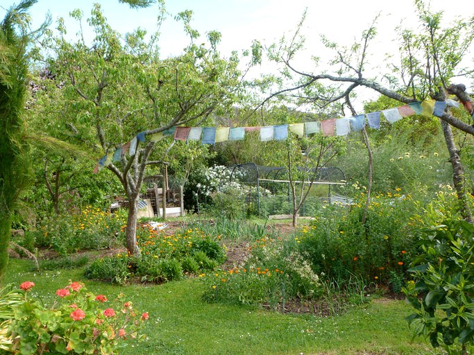 Safari Tents (Pohara, South Island, New Zealand)