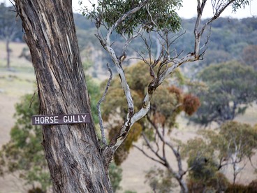 Secluded Cabin Rental with Views of Blue Mountains near Mudgee, New South Wales photo 5