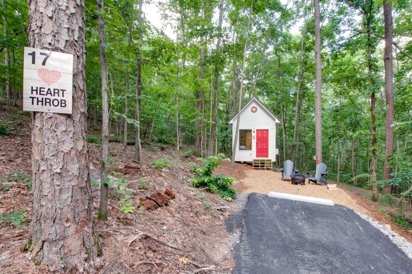 Picturesque Tiny Cabin Surrounded by Nature in Alabama