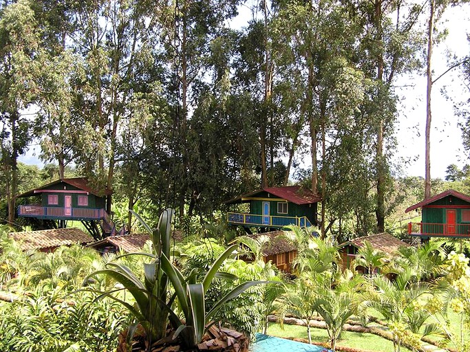 Tree Houses (Armenia, Quindío, Colombia)