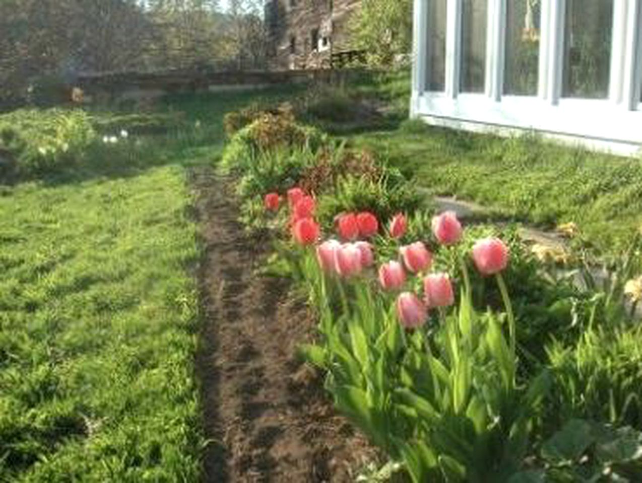 Countryside Vacation Rental on a Peaceful Farm in Marshfield, Vermont