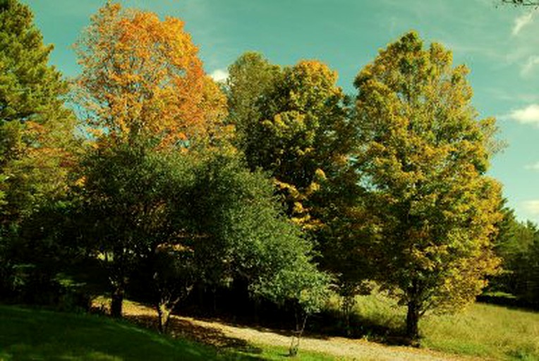 Vacation Rentals (Marshfield, Vermont, United States)