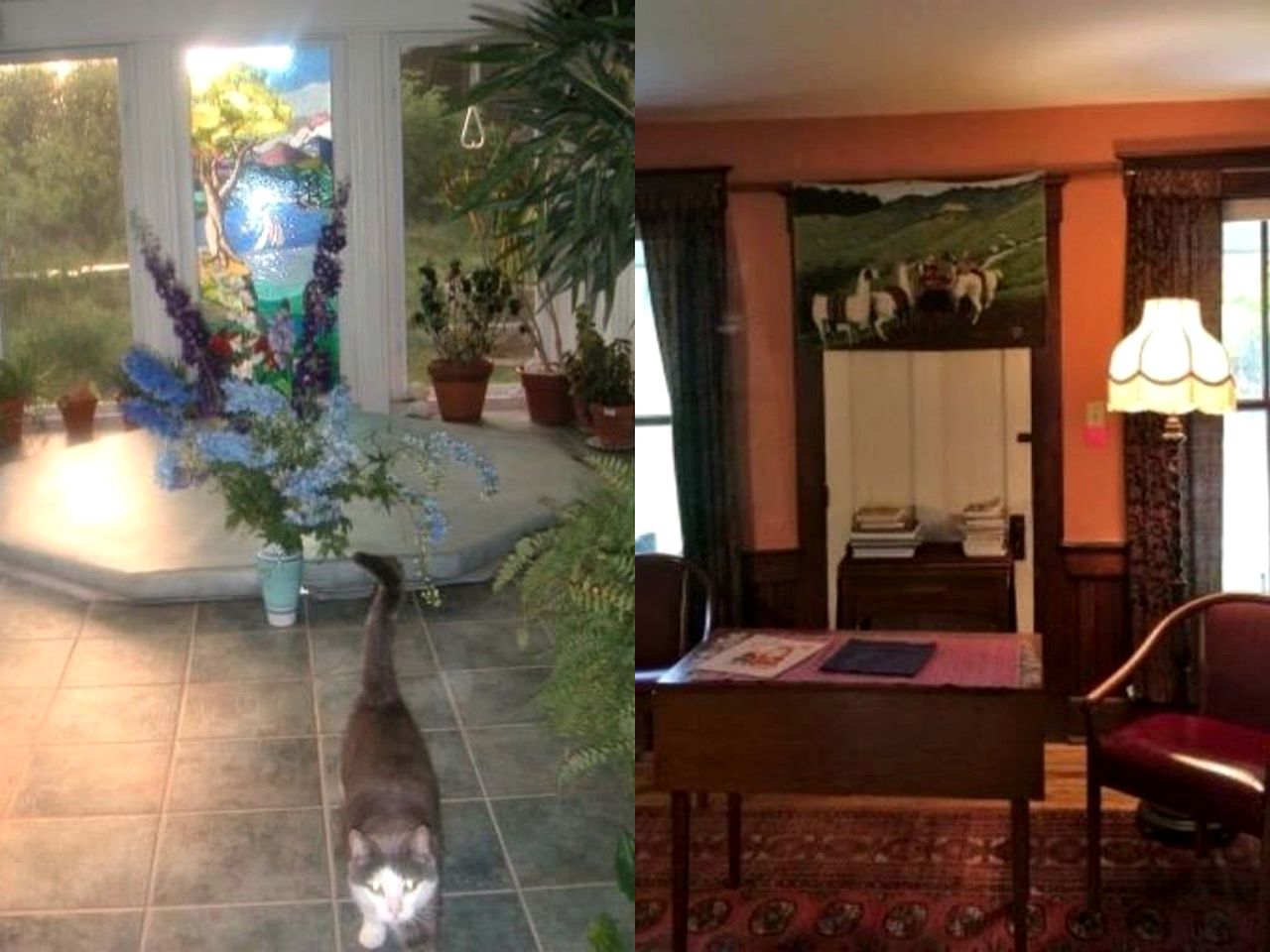 Countryside Vacation Rental on a Peaceful Farm in Marshfield, Vermont