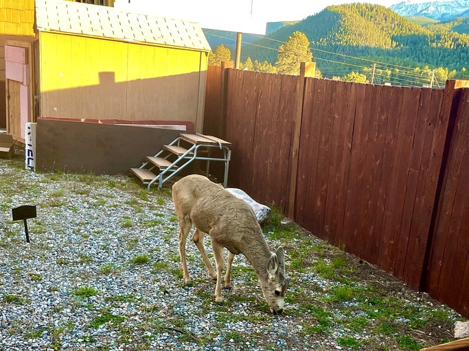 Vacation Rentals (United States of America, Woodland Park, Colorado)