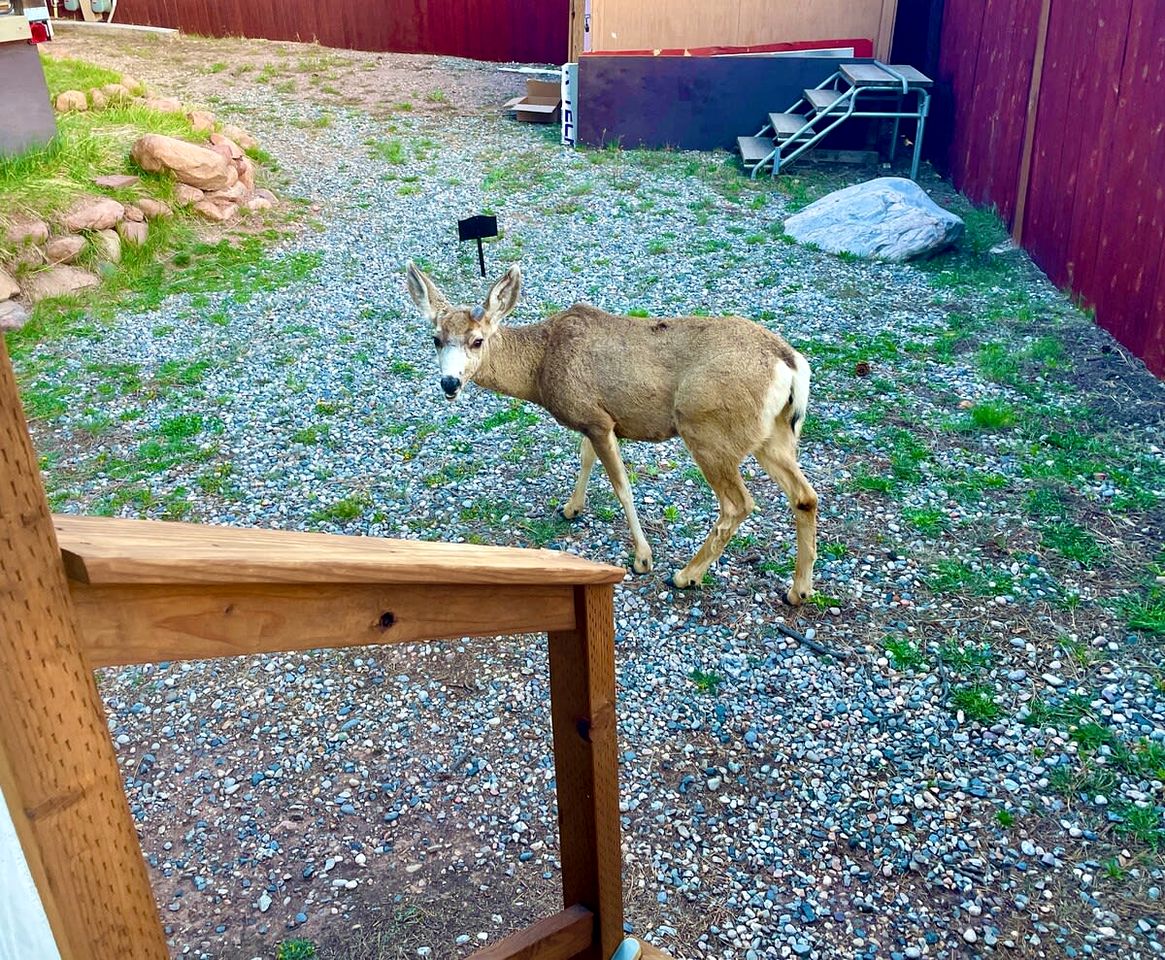 Rustic Tiny Home near Garden of the Gods, Perfect for a Weekend Getaway from Colorado Springs
